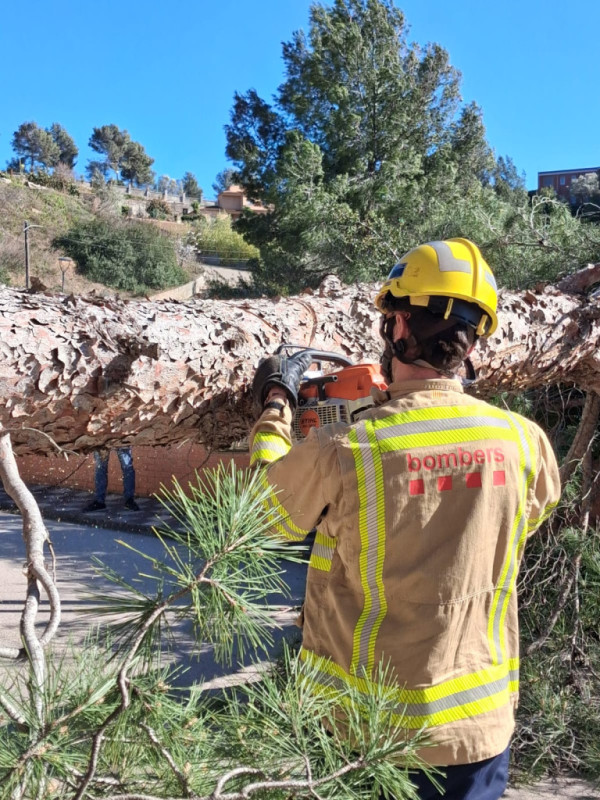 Actuació de Bombers a Abrera en l'episodi de vent, 12 de febrer de 2026
