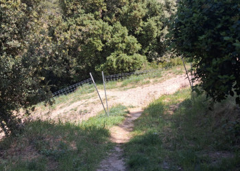 Reforç de la prevenció contra la pesta porcina africana a Abrera amb noves tanques per frenar el pas de senglars