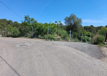 Reforç de la prevenció contra la pesta porcina africana a Abrera amb noves tanques per frenar el pas de senglars