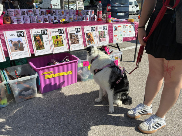 Abrera celebra amb èxit la primera Fira de Benestar Animal amb una gran acollida ciutadana