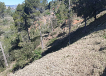 Iniciem la campanya anual de manteniment de les franges perimetrals de seguretat contra incendis forestals i zones verdes del nostre municipi - Les Carpes de Vilalba