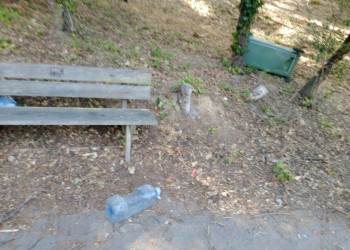 Fem una crida al civisme i al respecte per les colònies felines d’Abrera davant els actes vandàlics registrats al barri de Ca n'Amat