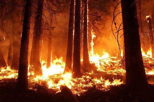 Aquest estiu, cap incendi! A continuació us oferim diferents consells i mesures de protecció per evitar els incendis forestals al nostre municipi