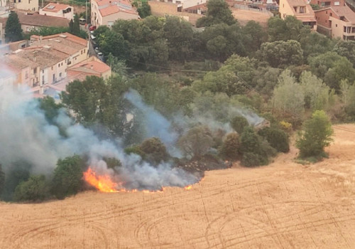 Investiguem la causa de l'incendi que aquesta tarda ha cremat uns 3.000 metres quadrats de matoll i canyes al torrent Gran