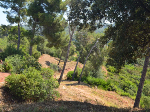Realitzem la campanya forestal amb els treballs de manteniment de les franges de protecció. Les Carpes