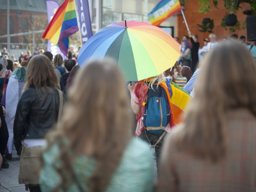 Ahir diumenge 26 d’abril es va commemorar el Dia de la Visibilitat Lèsbica amb l’objectiu de fer visibles les lesbianes en la seva doble discriminació,  la de ser dones i lesbianes
