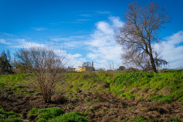 L’Ajuntament d’Abrera i l’ACA fem balanç de la restauració de l'entorn del riu Llobregat i reforcem la col·laboració de futur