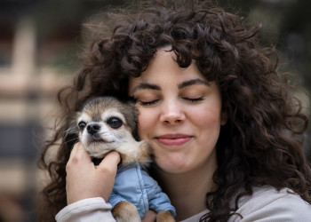 Animals de companyia