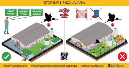 Mesures de prevenció davant la grip aviària - Infografia stop influença aviària.jpg