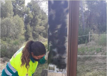Reparem les conseqüències dels actes vandàlics al BCIL de les Trinxeres republicanes del bosc de Sant Miquel