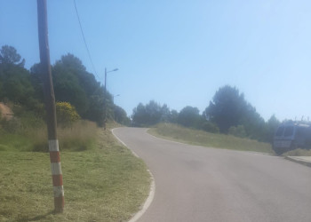 Continuem executant els diferents treballs de manteniment a les franges perimetrals de seguretat contra incendis forestals i zones verdes d'Abrera (03.06