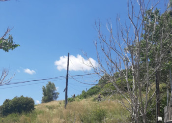 Continuem executant els diferents treballs de manteniment a les franges perimetrals de seguretat contra incendis forestals i zones verdes d'Abrera (03.06
