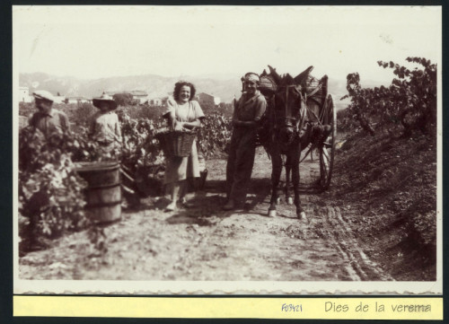 Recuperem la memòria de l’Abrera agrària amb una exposició de fotografies històriques!