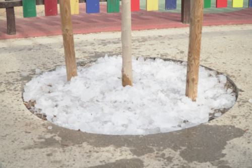 Aquest Nadal, hem tornat a gaudir de la Pista de Gel, més sostenible, amb la instal·lació de plaques fotovoltaiques, reutilització de l'aigua per regar i replantació d'arbres per reduir les emissions de CO2