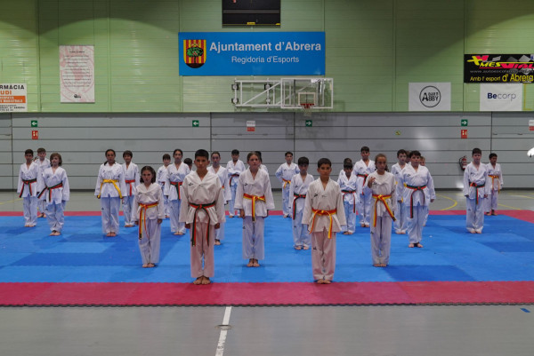 Assistim a la cloenda de les activitats d’Educació Física Infantil, Preesportiva i Taekwondo del curs 2023-2024