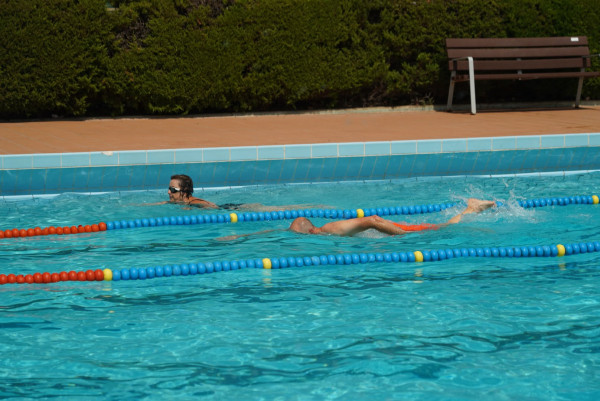 Gran èxit d'assistència i participació al Mulla't per l'esclerosi múltiple 2026, a la Piscina Municipal d'Estiu, aquest diumenge 19 de juliol!