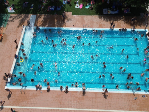 Gran èxit d'assistència i participació al Mulla't per l'esclerosi múltiple 2026, a la Piscina Municipal d'Estiu, aquest diumenge 19 de juliol!