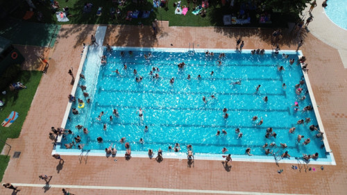 Gran èxit d'assistència i participació al Mulla't per l'esclerosi múltiple 2026, a la Piscina Municipal d'Estiu, aquest diumenge 19 de juliol!