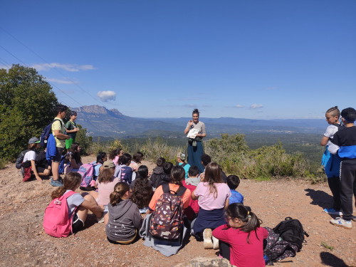 Èxit de la campanya 'Coneguem els nostres parcs’, amb l'alumnat de 5è de primària de les escoles del nostre municipi