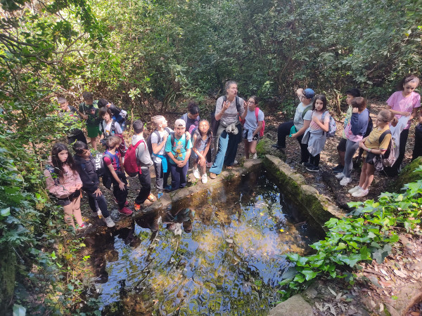 Èxit de la campanya 'Coneguem els nostres parcs’, amb l'alumnat de 5è de primària de les escoles del nostre municipi