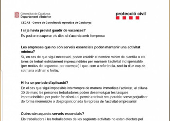 Qüestionari FAQ's 30-03-20   8h   02