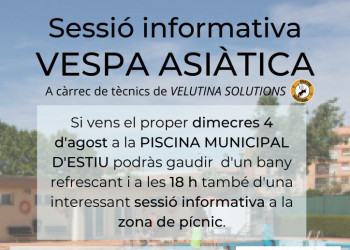 Organitzem una sessió informativa sobre la vespa asiàtica al recinte de la Piscina Municipal d'Estiu