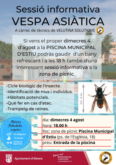 Organitzem una sessió informativa sobre la vespa asiàtica al recinte de la Piscina Municipal d'Estiu