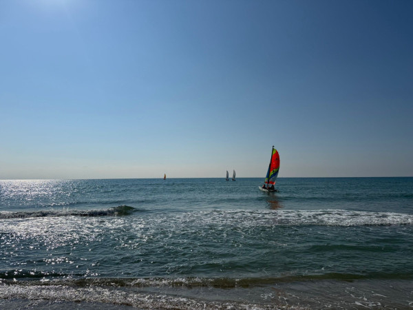 L'alumnat abrerenc gaudeix al litoral del programa 'Bateig de vela', promogut per la Diputació de Barcelona amb el suport del nostre Ajuntament