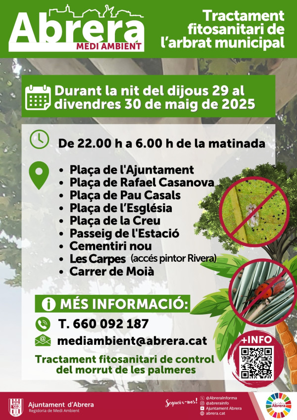 Cuidem les palmeres del nostre municipi amb un nou tractament fitosanitari, que durem a terme la nit del dijous 29 de maig entre les 22.00 h i les 06.00 h