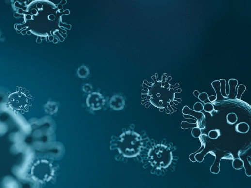 coronavirus SARS-CoV-2