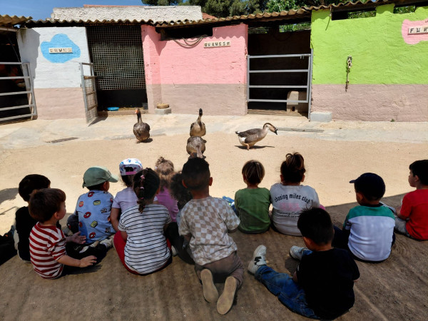 L'Escola Bressol Municipal Món Petit tanca el curs amb una valoració molt positiva i un ampli programa d'activitats - Visita animals