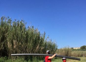 Una trentena de persones recullen 850 quilos de residus en la neteja del marge del riu Llobregat, dins les jornades 'Let's Clean Up Europe'