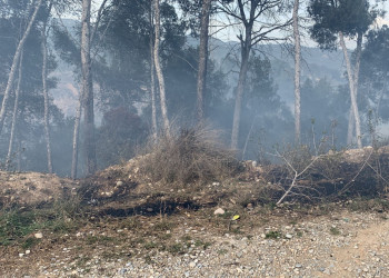 Incendi a la riera Magarola. Divendres 8 d'abril de 2022
