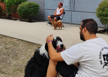 A Abrera cuidem els animals de companyia! Censem prop d'una vintena de mascotes en el barri de Can Vilalba d'Abrera