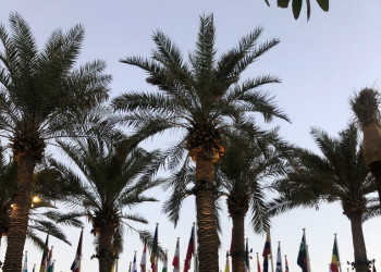 Felicitem la col·laboradora de l’Associació Naturalista d’Abrera ANDA, Cristina Bernal, que ha participat en la Conferència del Clima de l’ONU COP 28 de Dubai