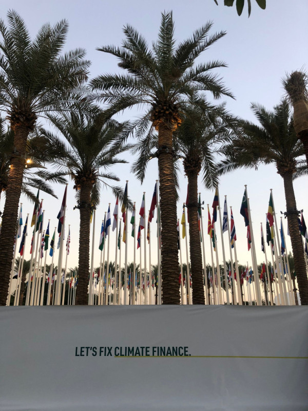 Felicitem la col·laboradora de l’Associació Naturalista d’Abrera ANDA, Cristina Bernal, que ha participat en la Conferència del Clima de l’ONU COP 28 de Dubai