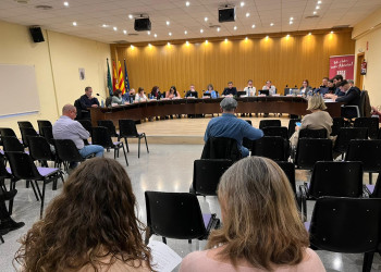 Ple municipal ordinari Ajuntament d'Abrera 27 de març de 2024 - Lectura manifest 8M
