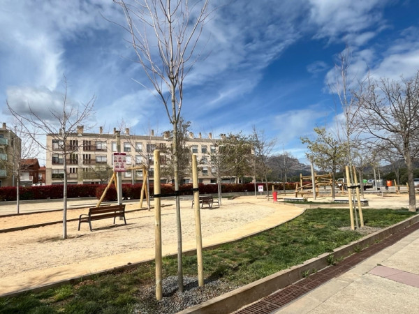 Des de l’Ajuntament d’Abrera tenim cura de l’arbrat públic del nostre municipi, amb la realització dels treballs de poda i cura dels arbres públics