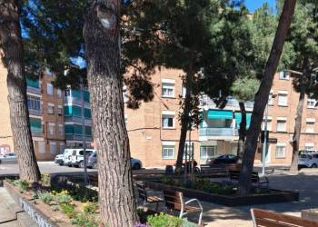 Finalitzem els treballs de reparació i millora dels jardins de la plaça de Rafael Casanova