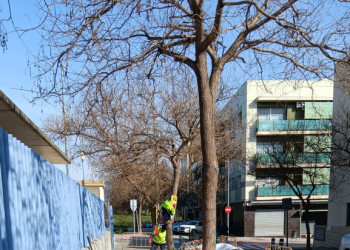 Executem diferents treballs de reparació de voreres al nucli urbà i barris d'Abrera - Escola Josefina Ibáñez