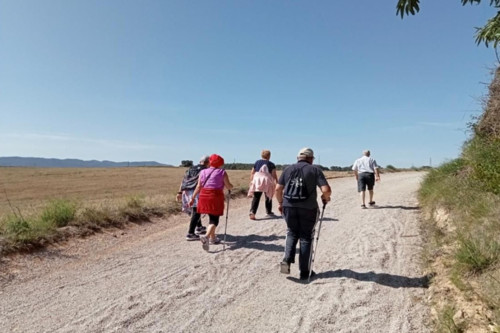 El proper dimecres 8 d'abril es commemora el Dia Mundial de l’Activitat Física amb una caminada saludable