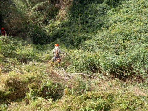 Iniciem un any més la campanya anual de manteniment de les franges perimetrals de seguretat contra incendis forestals