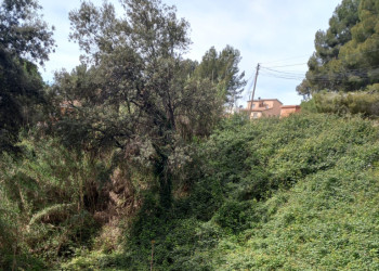 Iniciem un any més la campanya anual de manteniment de les franges perimetrals de seguretat contra incendis forestals