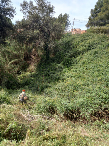 Iniciem un any més la campanya anual de manteniment de les franges perimetrals de seguretat contra incendis forestals