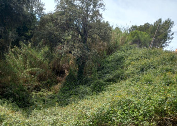 Iniciem un any més la campanya anual de manteniment de les franges perimetrals de seguretat contra incendis forestals