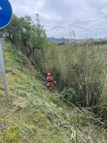 Iniciem un any més la campanya anual de manteniment de les franges perimetrals de seguretat contra incendis forestals