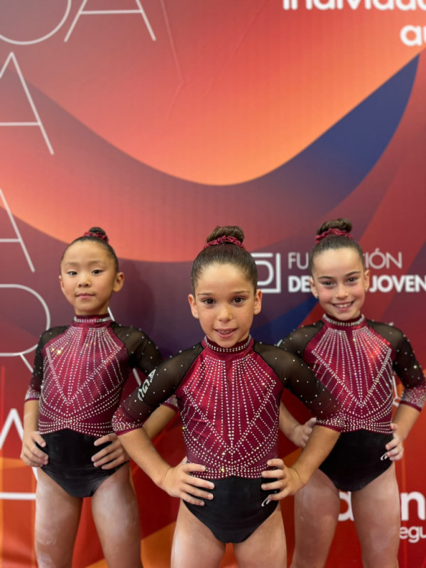 Felicitem l’Abrera Gimnàstic Club pels seus excelents resultats al Campionat d’Espanya Absolut de Gimnàstica Artística Femenina. Enhorabona campiones!