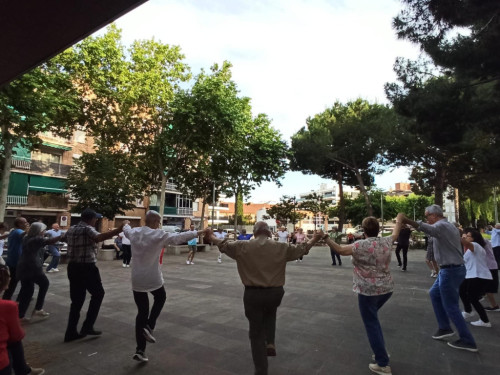Ballada de sardanes d'Abrera Sardanista a la plaça de Rafael Casanova