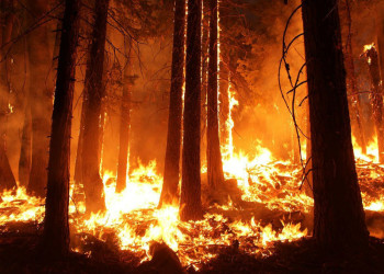 Comença la prohibició de fer foc a Abrera