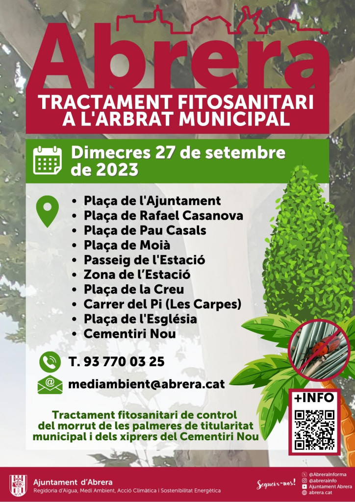 Cuidem les palmeres de titularitat municipal i els xiprers del Cementiri Nou amb un nou tractament fitosanitari, el proper dimecres 27 de setembre